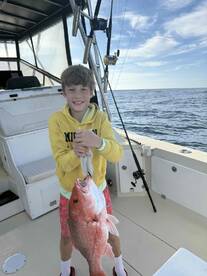 unbelievable and a must book now