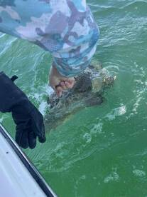 Great time on yhe water with Captain Steve