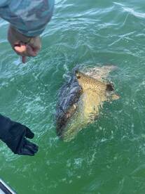 Great time on yhe water with Captain Steve