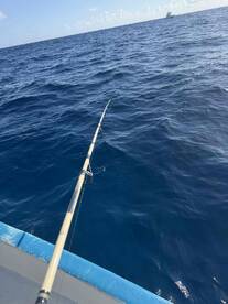 Clear Instructions & Great Caches