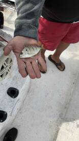 Great time with Patrick