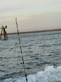 We had the best time again 5 years running 