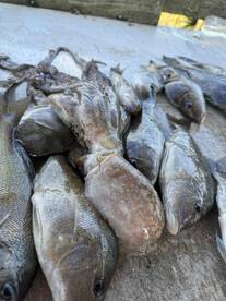 We had the best time again 5 years running 