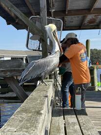 We had the best time again 5 years running 