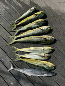 Fantastic Day Fishing