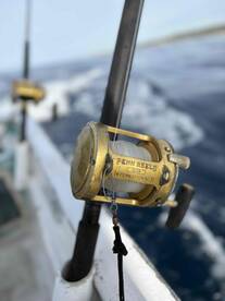 Marvelous Fishing Trip in Cabo San Lucas