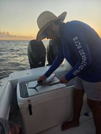 Beautiful evening on the ocean!