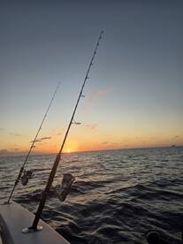 Beautiful evening on the ocean!