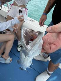 Very professional Captain and very friendly Mate!