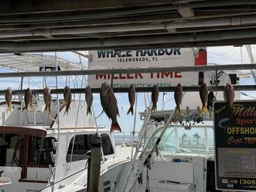 Very professional Captain and very friendly Mate!