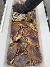 We had a great time!