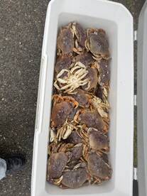 We had a great time!