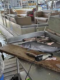 Stellar Service and Fun! 