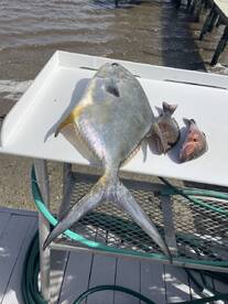 Fishing with Ariel "DJ"