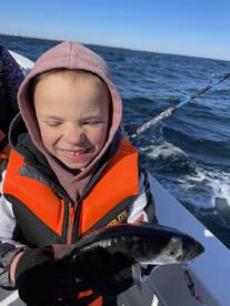 Lots of Fish-Great for Kids