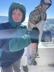 Lots of Fish-Great for Kids