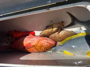 Half Day Trip with Captain Hussain Saeed