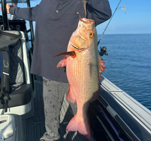 Half Day Trip with Captain Hussain Saeed