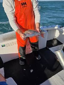 Great experience with an experienced crew!