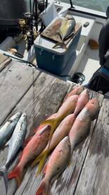 amazing crew, worked with our timeline