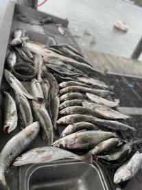 Chilly but great day!!