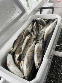 Chilly but great day!!