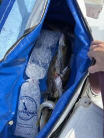 If your main goal is to fish, this is definitely the right choice.