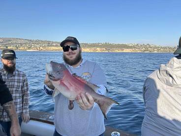 Captain Harry and Pat are Awesome!!!