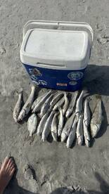 Awesome Day Fishing with Reel Healin Outdoors!