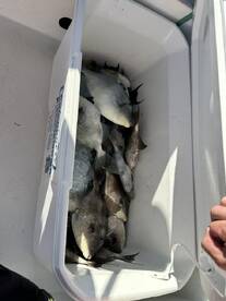 Great morning on the water!