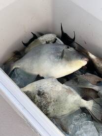 Great morning on the water!