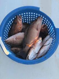 Great day on the water