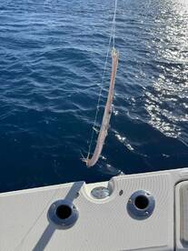 10\/10 Trip with Capt Mark