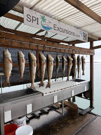 Fishing trip Dec. 3rd, 2025