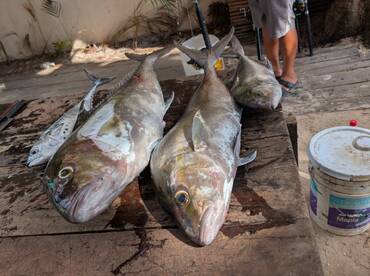 Fist Sport Fishing Exp