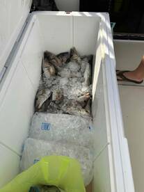 Captain Damian and Josh were fabulous!  