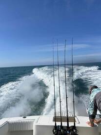 Captain Damian and Josh were fabulous!  