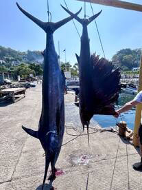 Perfect trip with Lori 3!