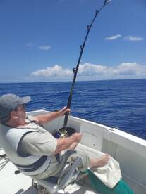 Billfish- wenn es ein Marlin werden soll!