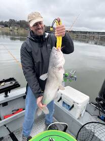85 lbs. of catfish in 4 hours!