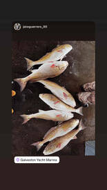 What a way to celebrate my brithday!