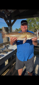 Great day in 10,000 islands