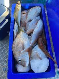 not even fare fishing trips