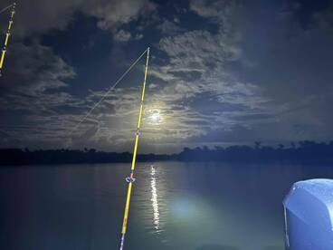 Captain abi took us to the BIG FISH