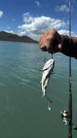 5 Hour Charter with Captain Dave