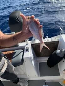 Captain Valter and the Four novice fisherman