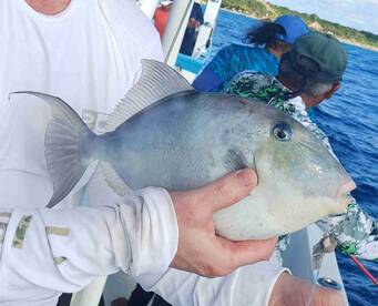 Successful day had by all