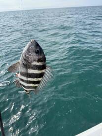 Could call it catching instead of fishing!