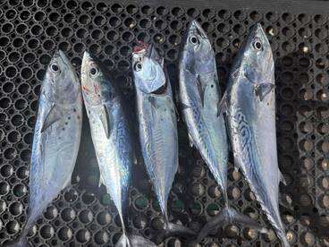 December fishing trip