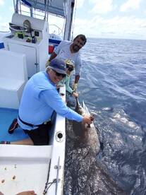 Landed a 5 ft Blue Marlin